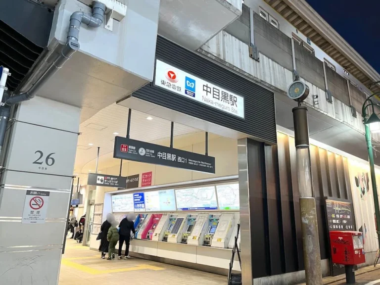 中目黒の目黒川沿いの桜並木と駅前のタワーマンション