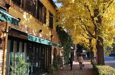 白金に芸能人が住む理由|坪単価837万円「シロガネーゼ」の街と白金台の違いを分析【2026年】